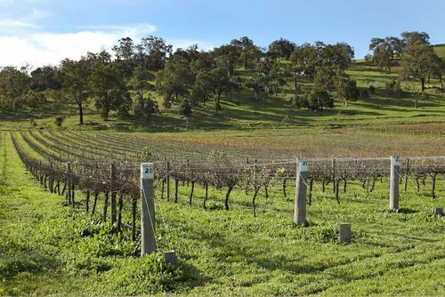 Гостиница Brockman Park Estate