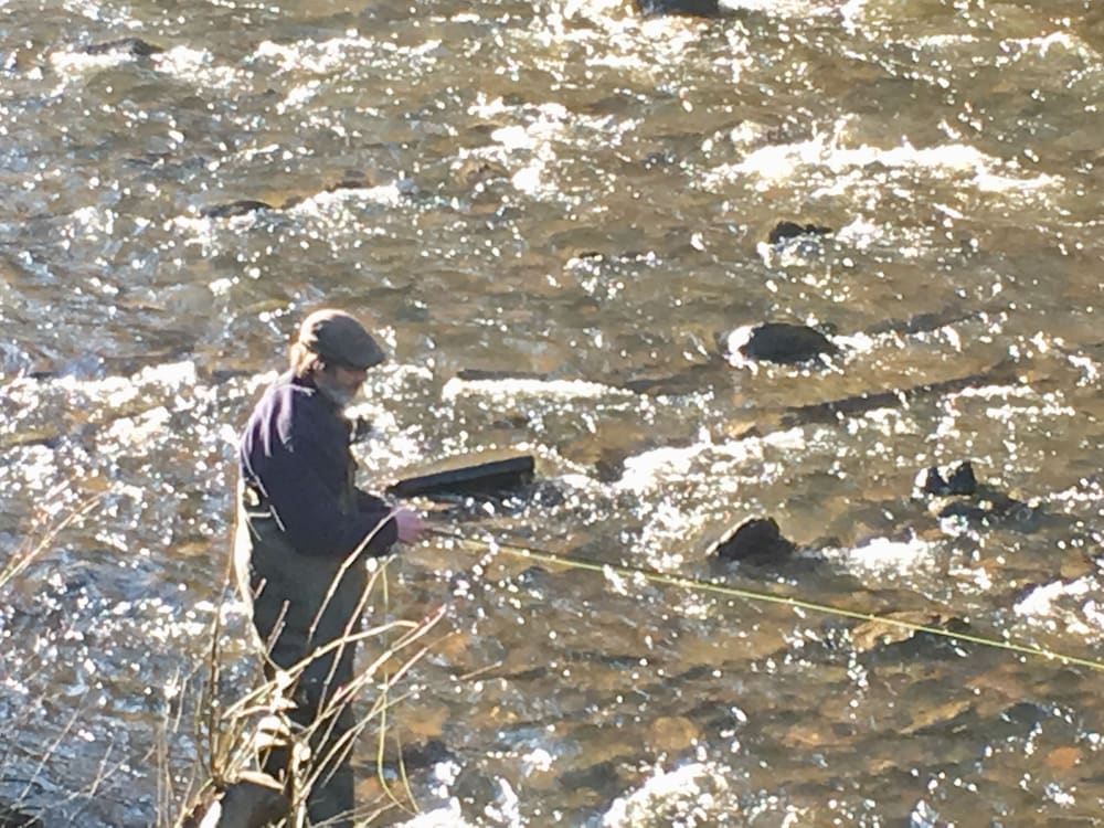 Фото Kevock Vale Park