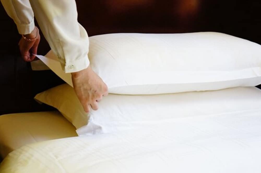 Фото Joyful Rose International Hotel