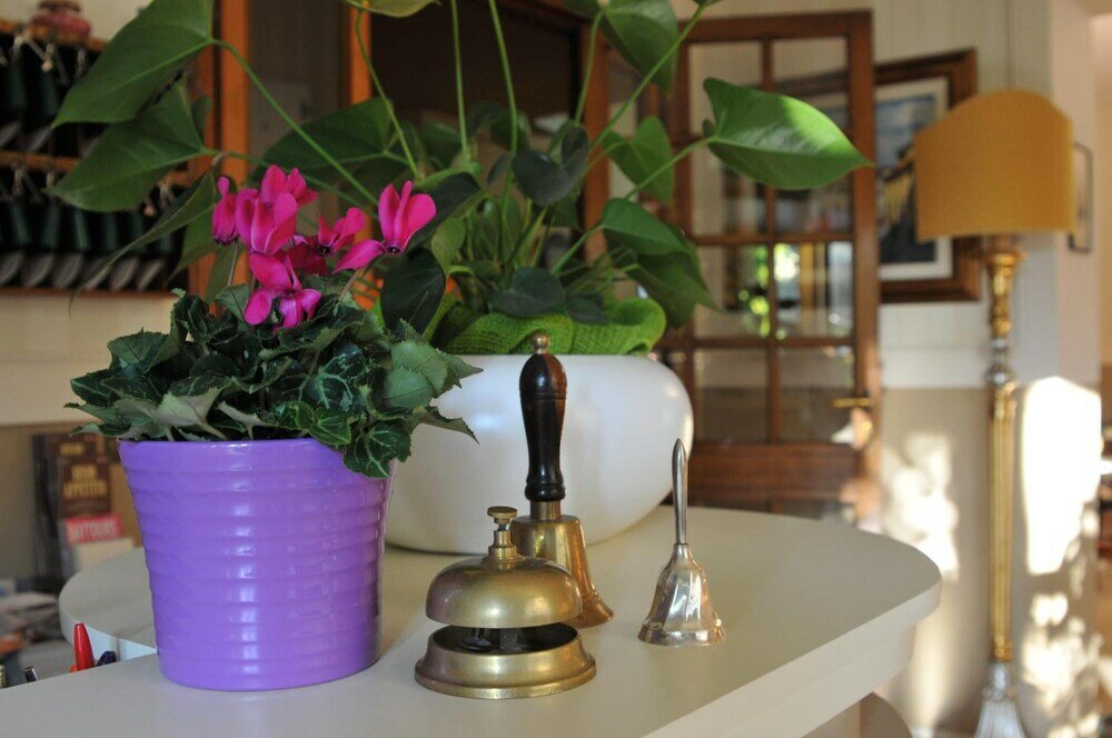 Фото Hotel Stipino