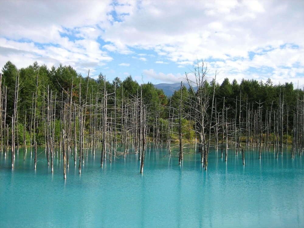 Фото Hoshino Resorts Tomamu The Tower