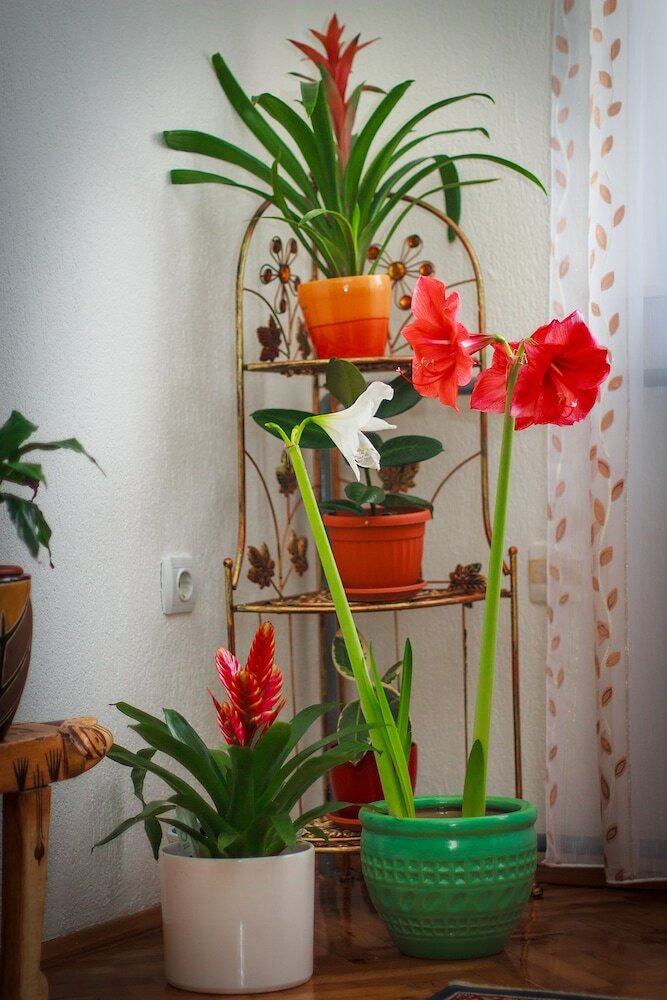 Фото Apartment Red House