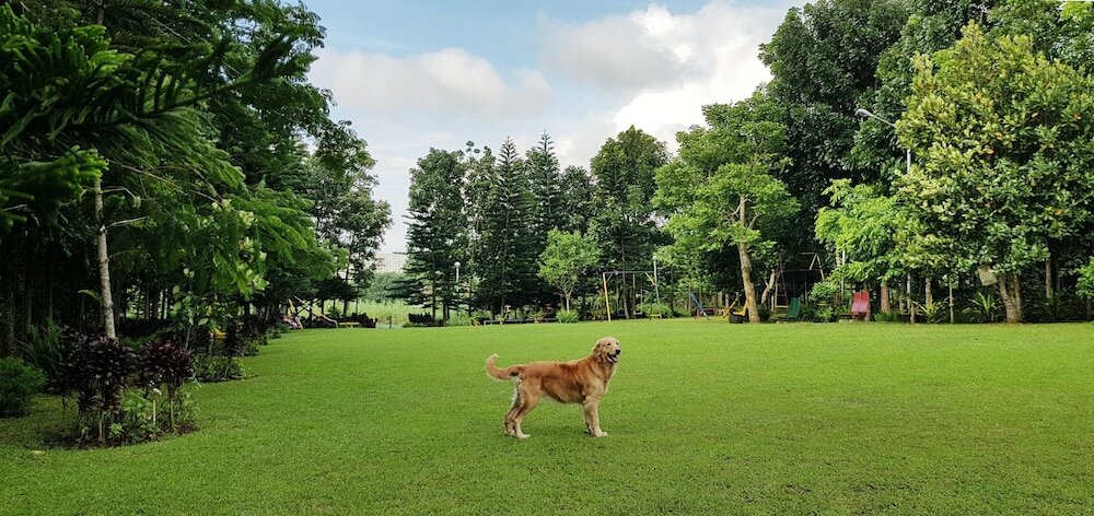 Фото Tagaytay Summer House