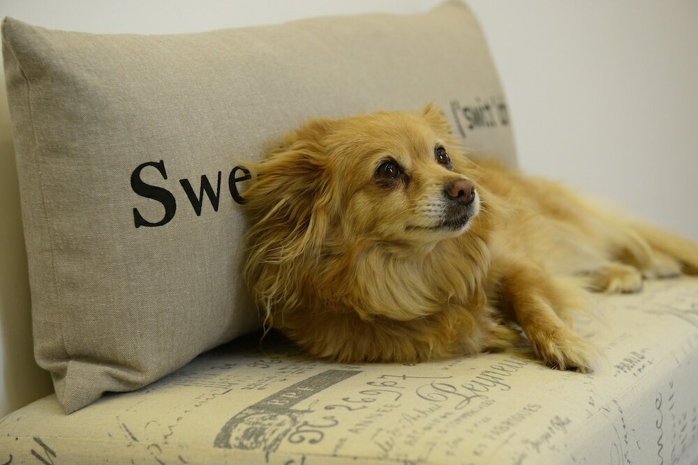 Фото Vaticano Charming Rooms