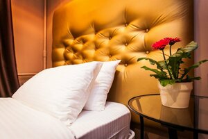 Leo (Leninsky Avenue, 36), hotel