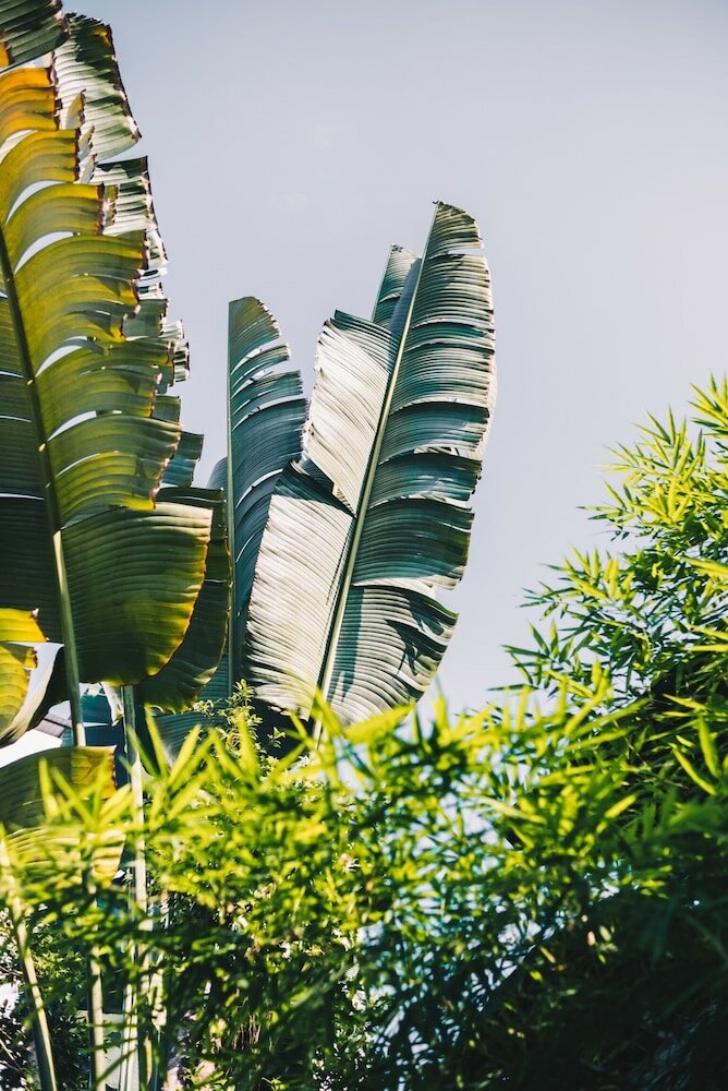 Фото The Park Society - Hostel