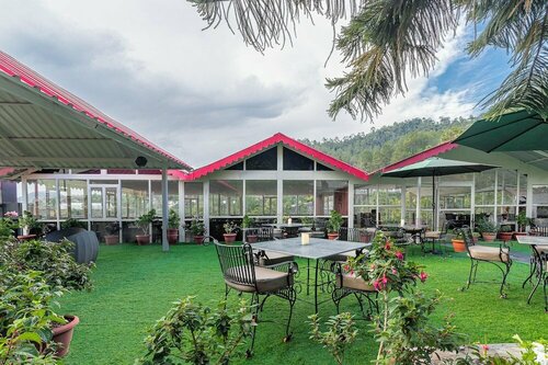 Внешний вид отеля Country Inn Maple Resort Chail в Чайле, фото 1