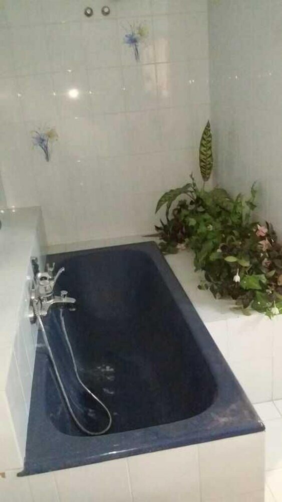 Фото Spacious House