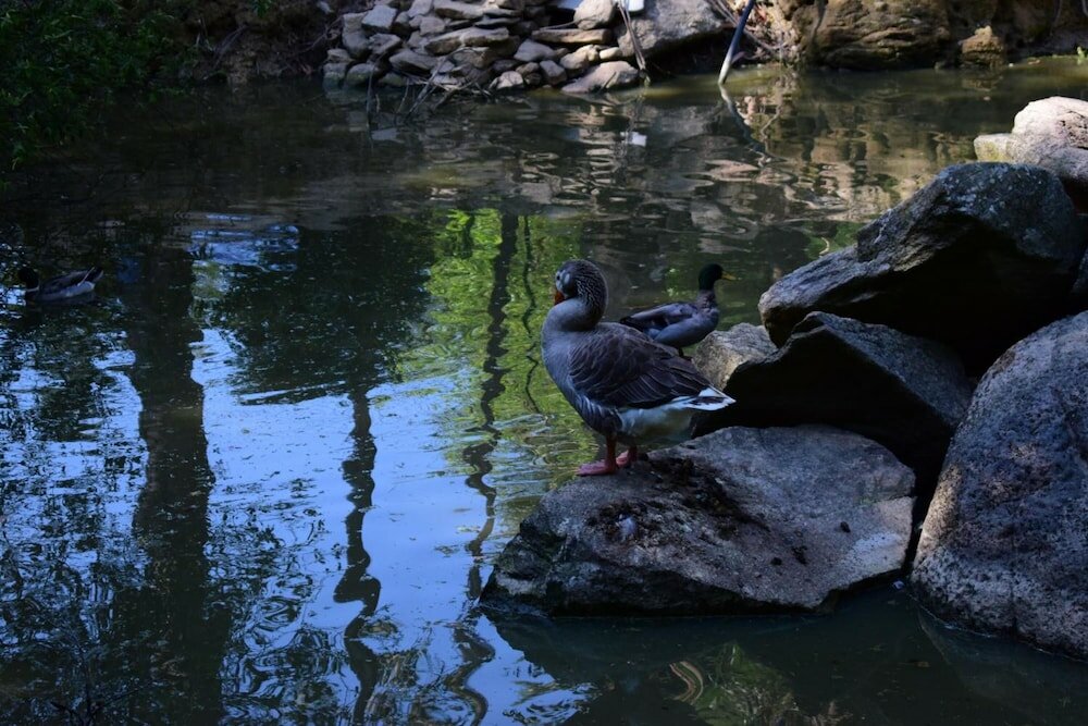 Фото Quinta Sul America