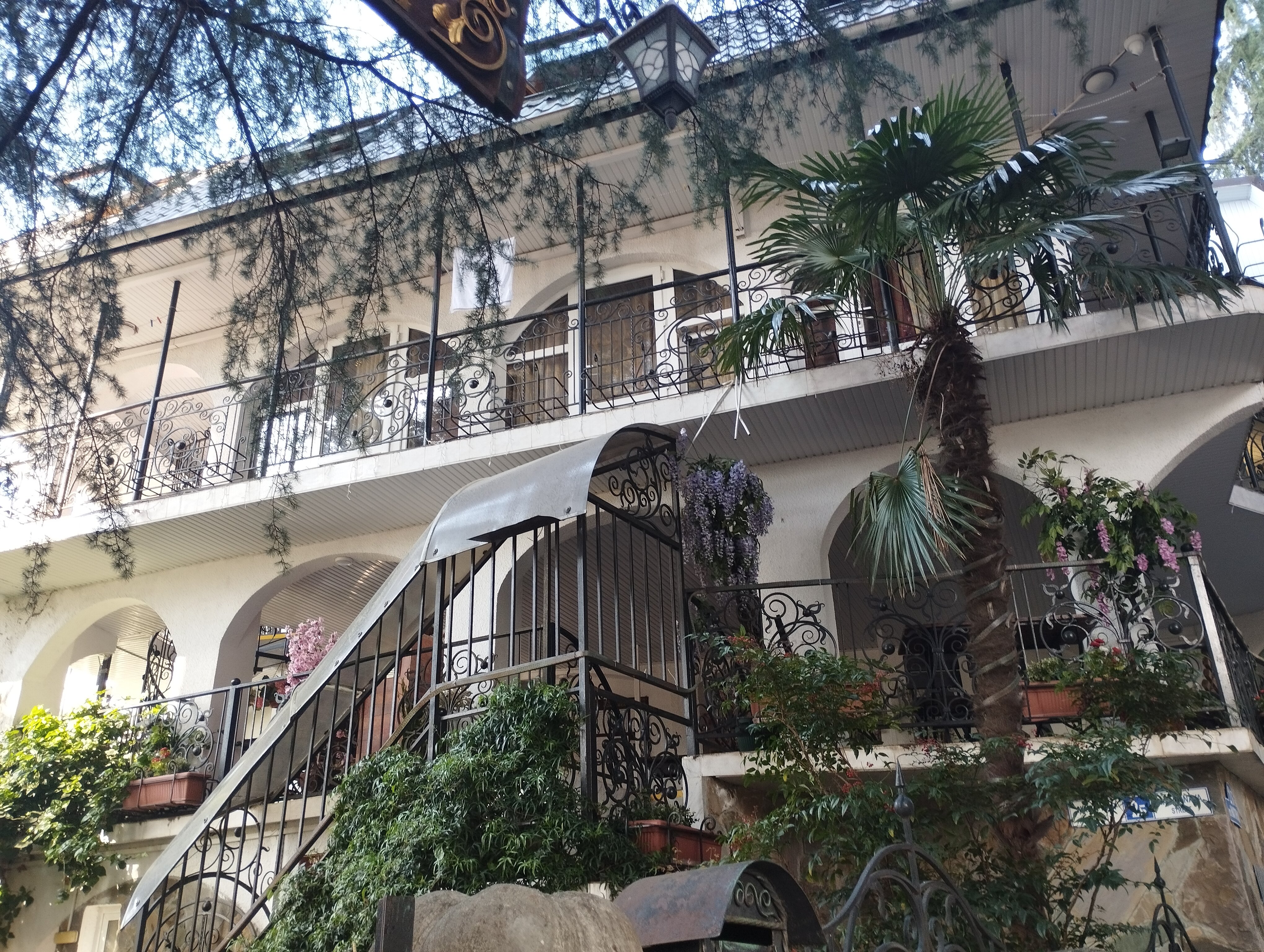 Фото У Оксаны