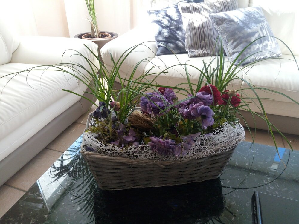 Фото Hotel Ambasciatori