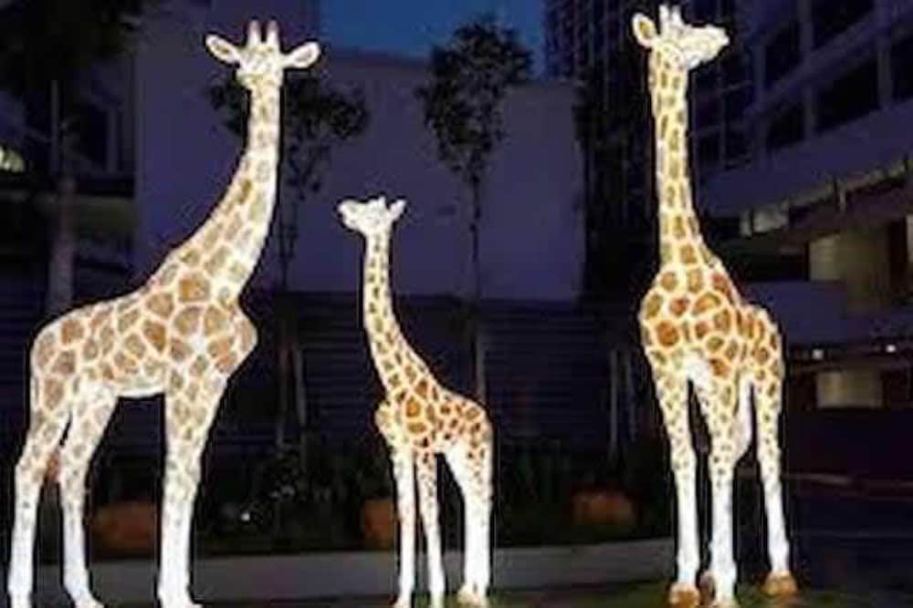 Фото I-Suite I-City B-30-20