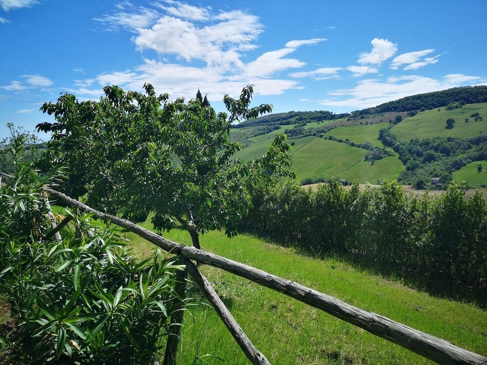 Фото La Casa sul Colle