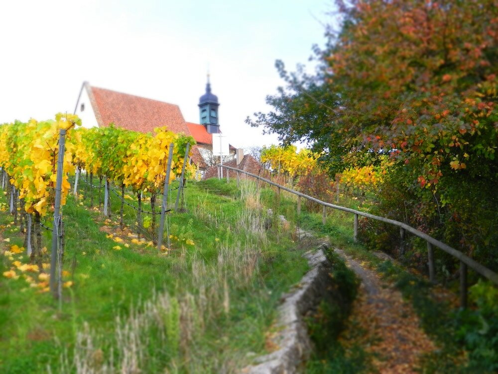 Фото Hotel Am Torturm