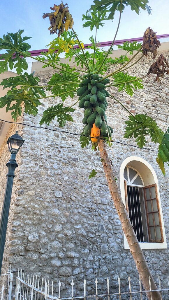 Catholic church St. Nicolas of Tolentino Church, Dauin, photo