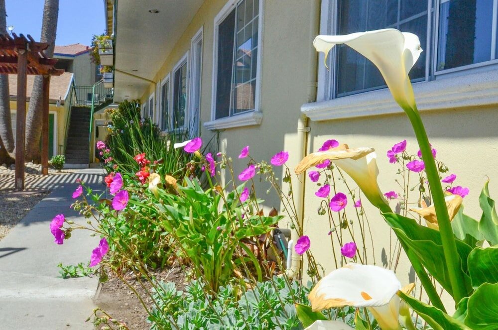 Фото Courtyard by Marriott Indianapolis South