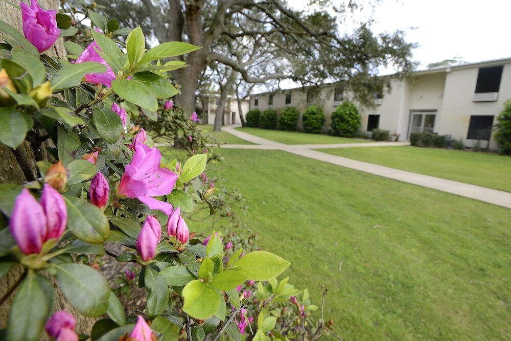 Фото Quality Inn