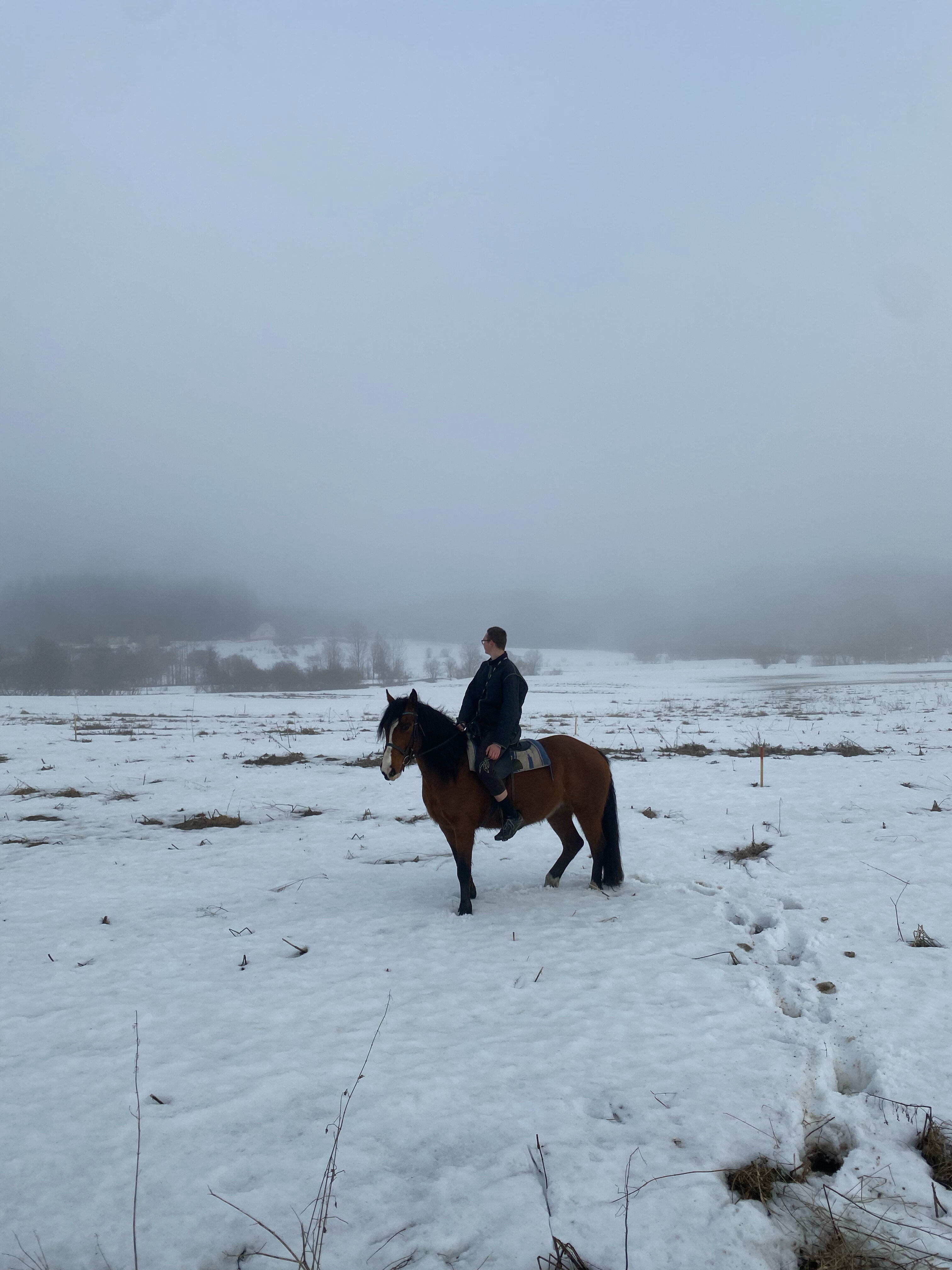 Фото Конюшенный двор