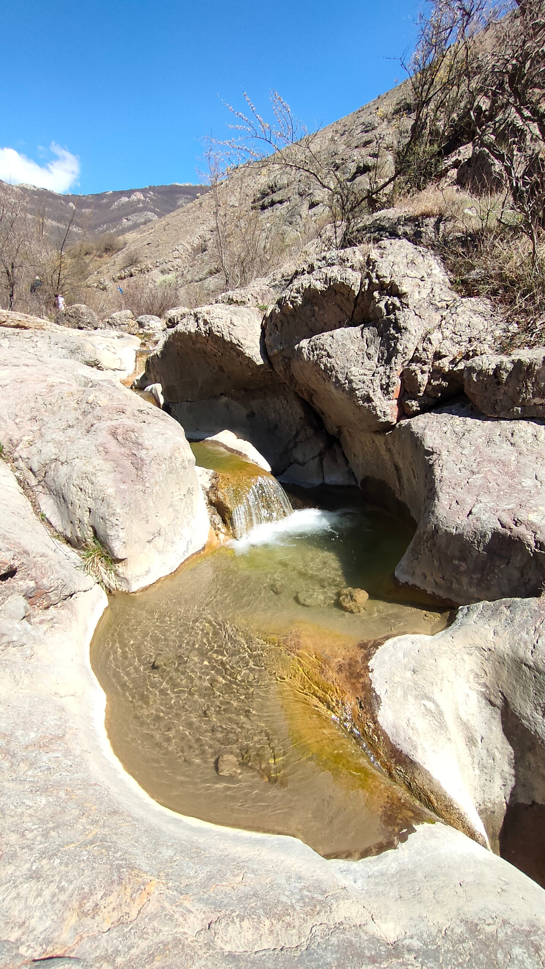 Фото Арпат Зеленогорье