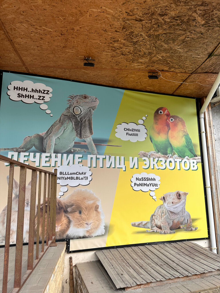 Ветеринарная клиника Лимпопо, Воронеж, фото