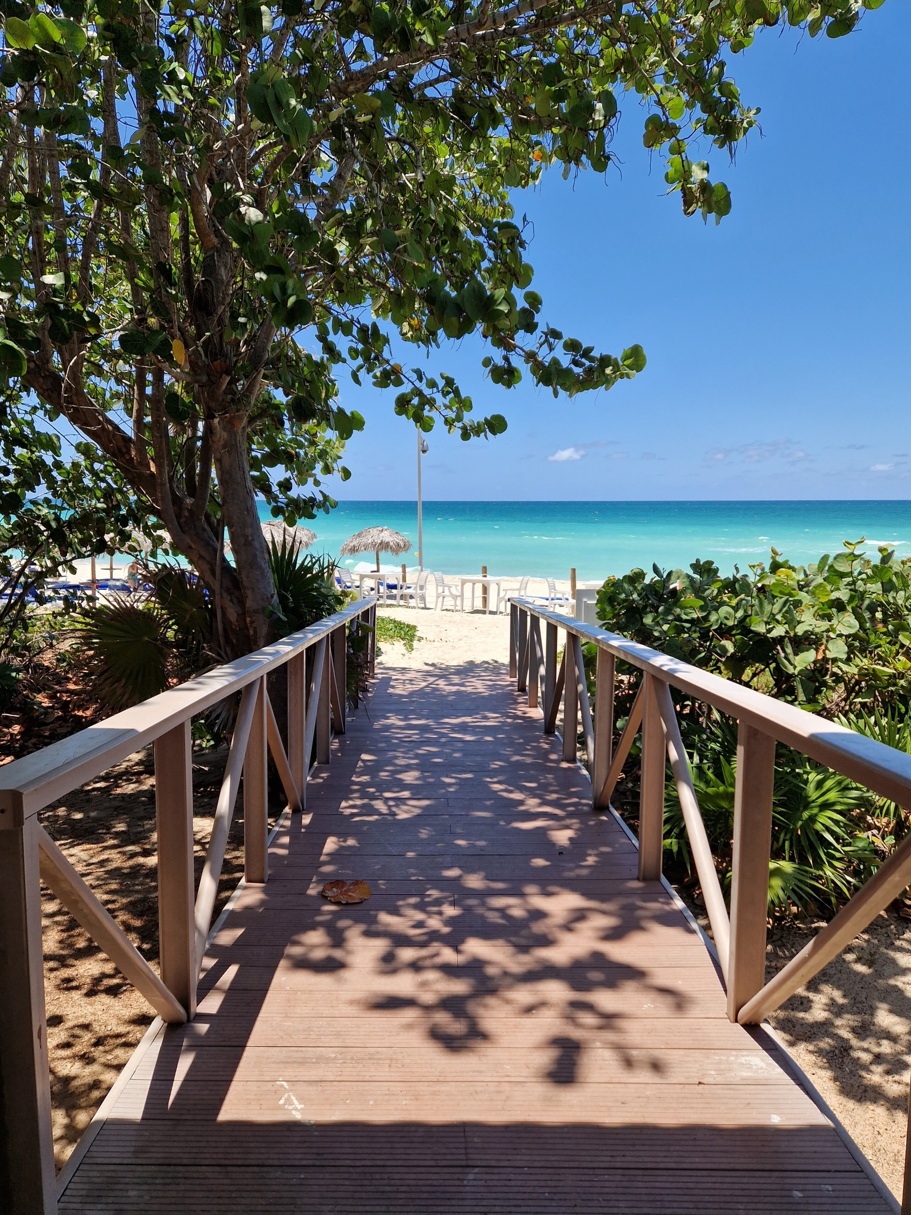 Фото Melia Las Americas