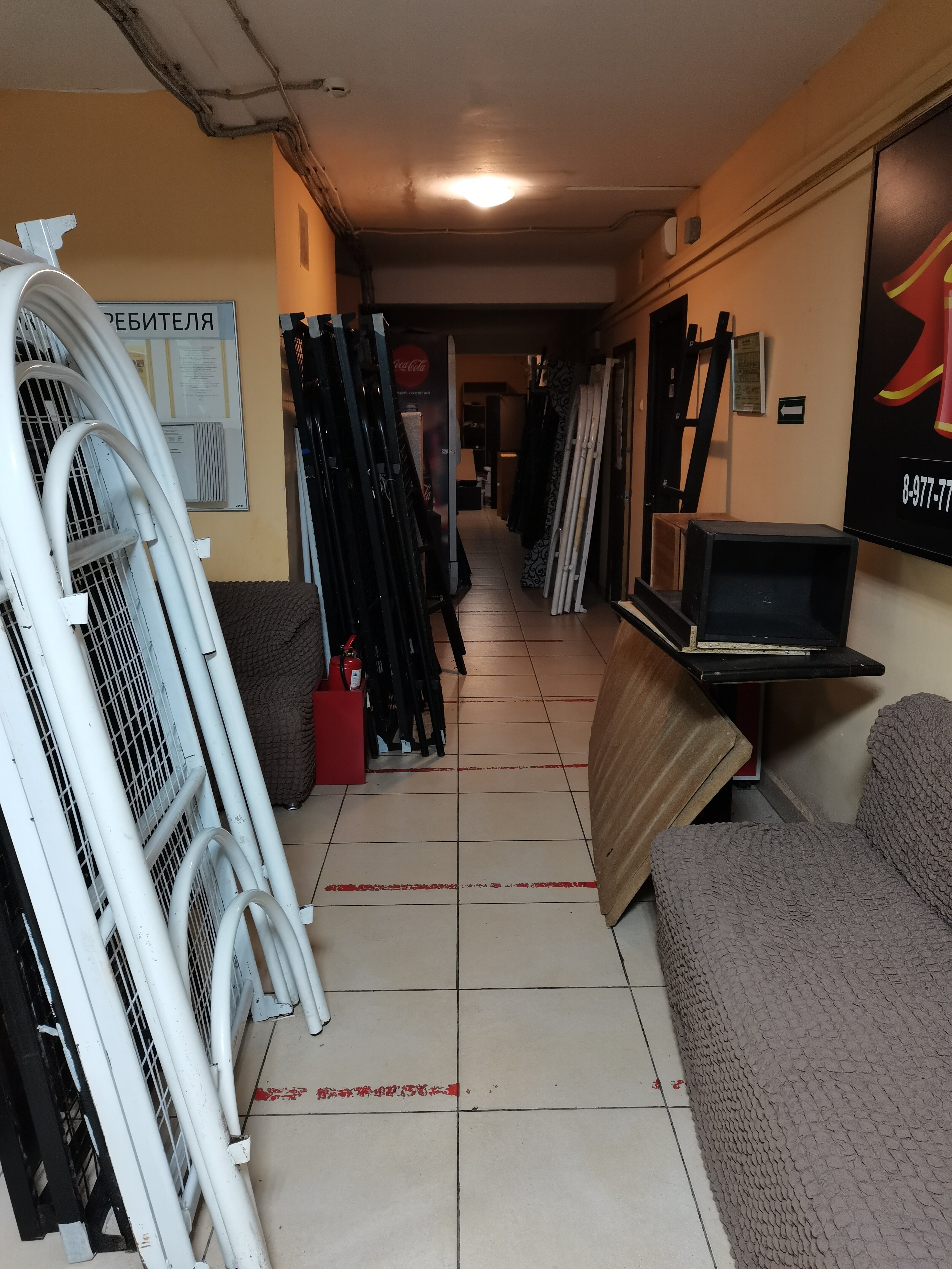 Фото Вежливый лось на Юго-Восточной