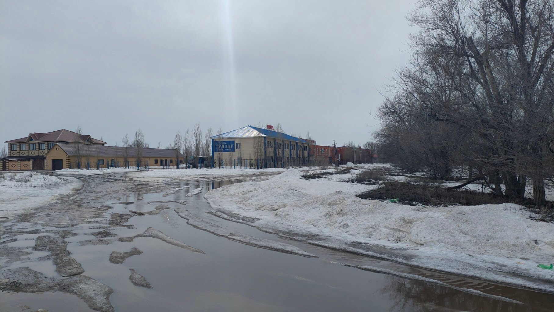 Фото Тулпар