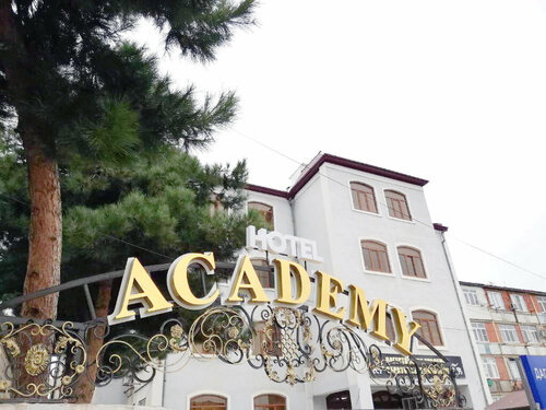 Академия