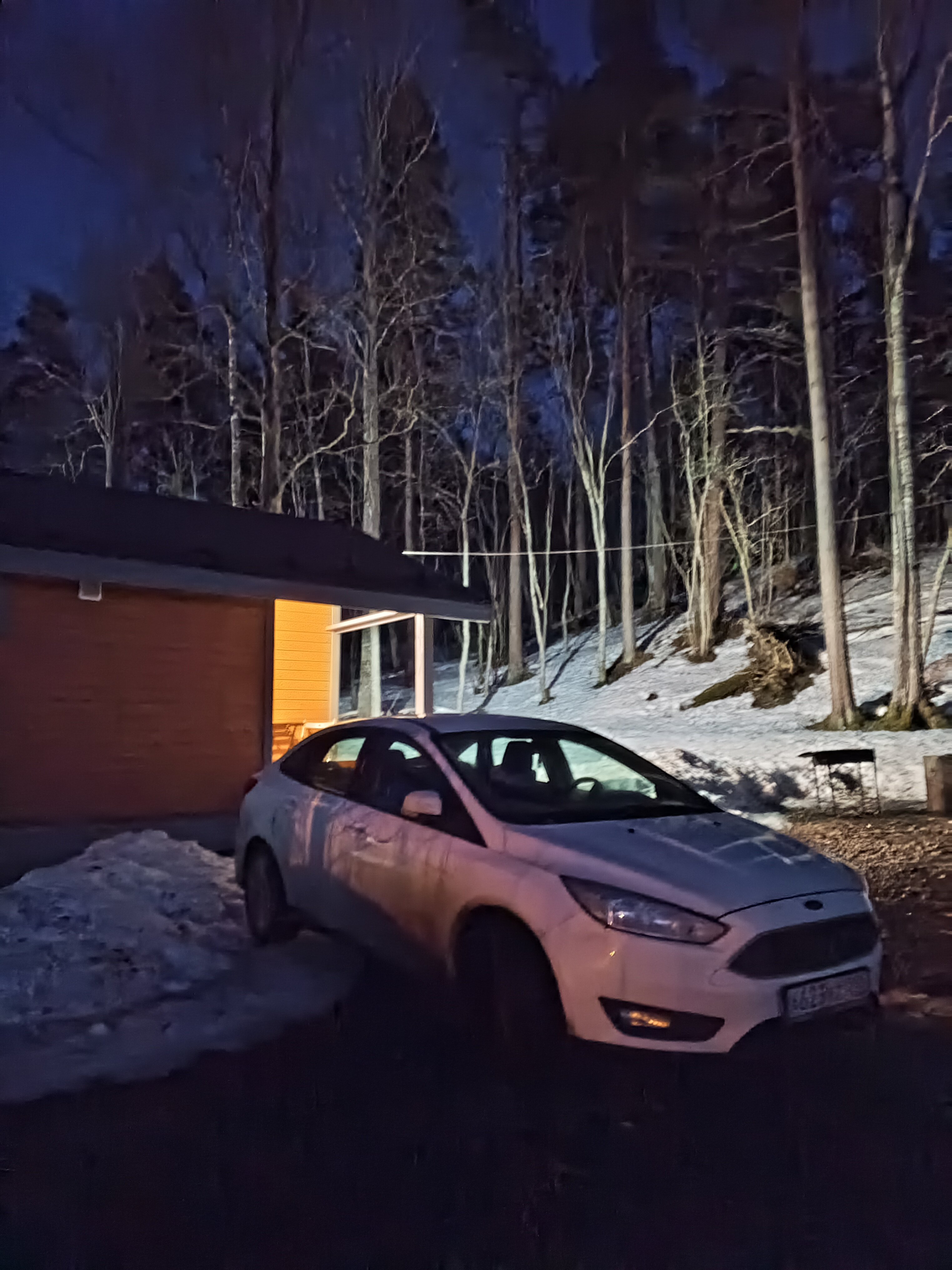 Фото Forest Park