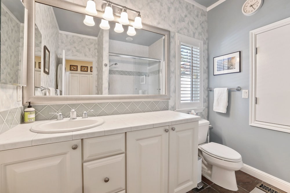 Фото Bird's Nest