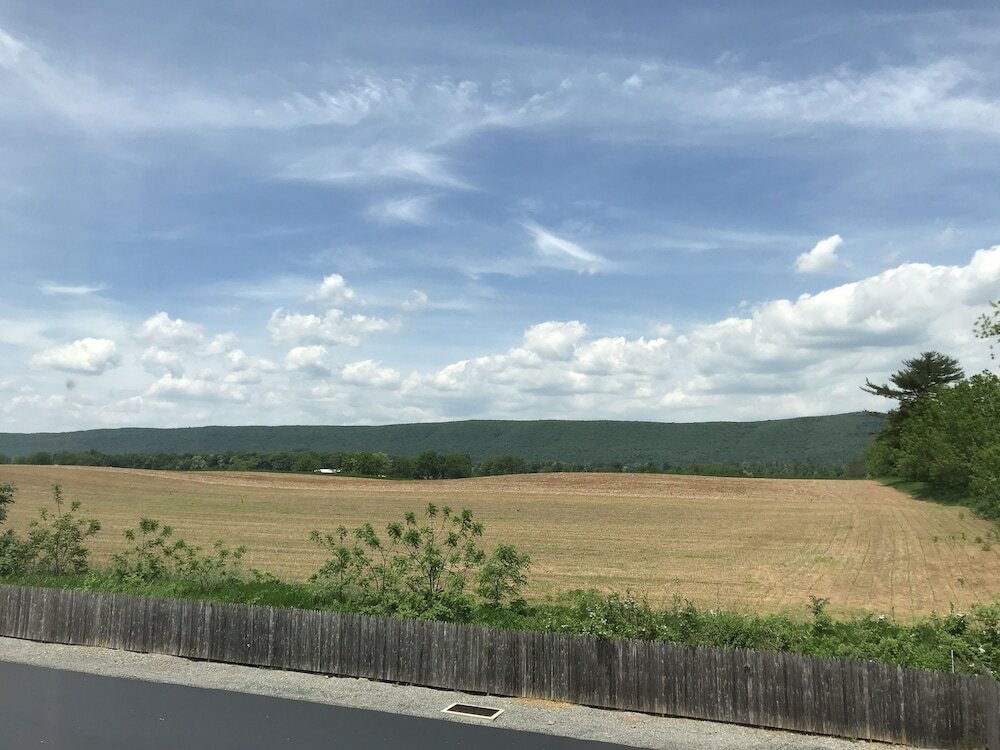 Фото Hampton Inn & Suites Lamar