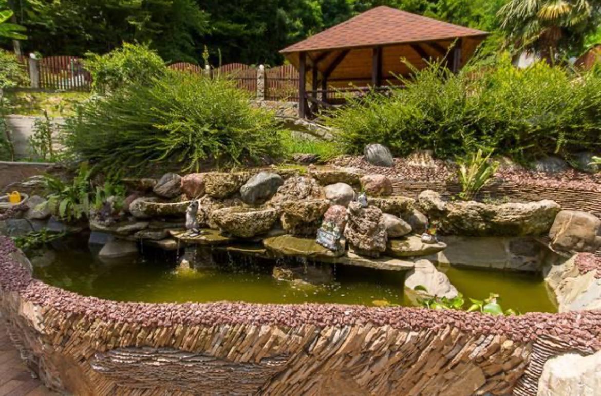 Фото Олимпик