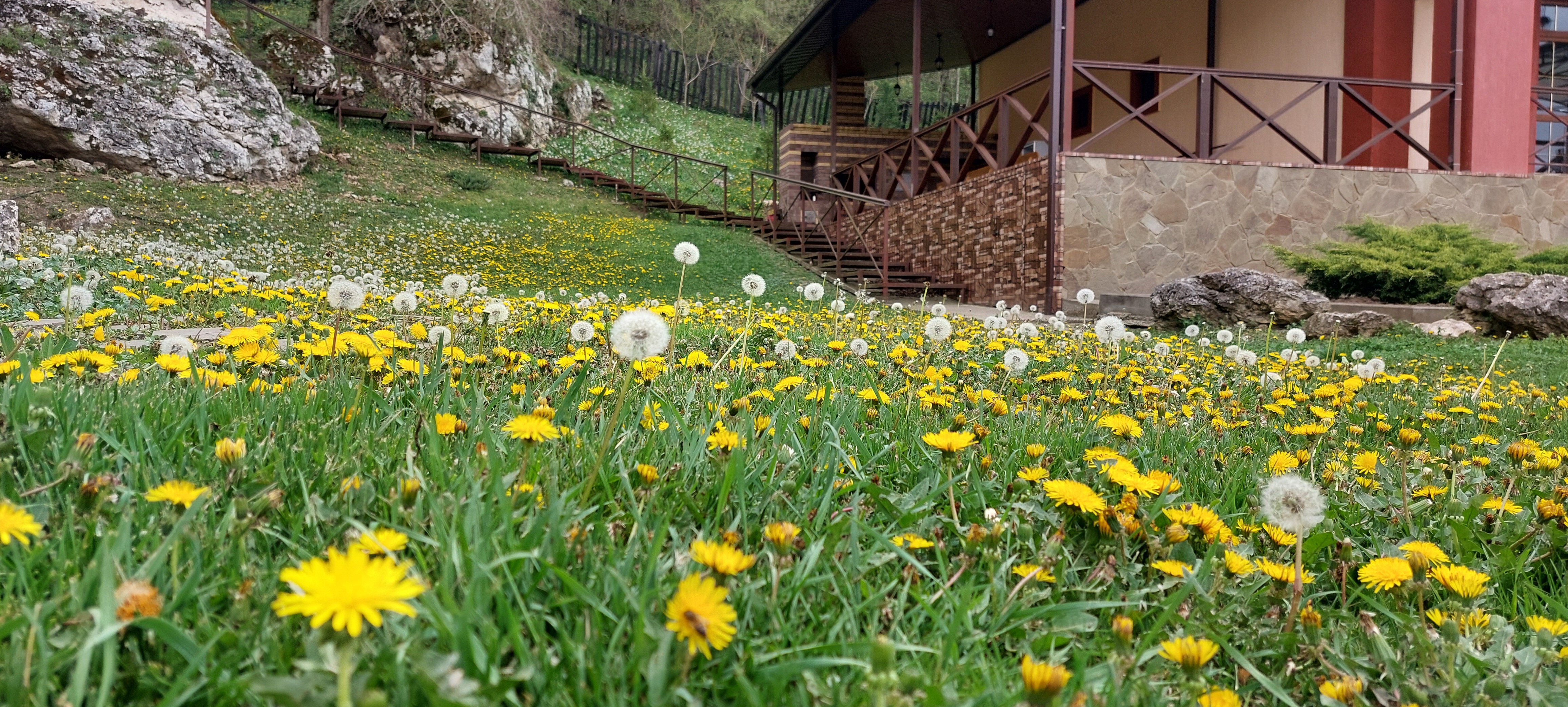 Фото Даховское поместье