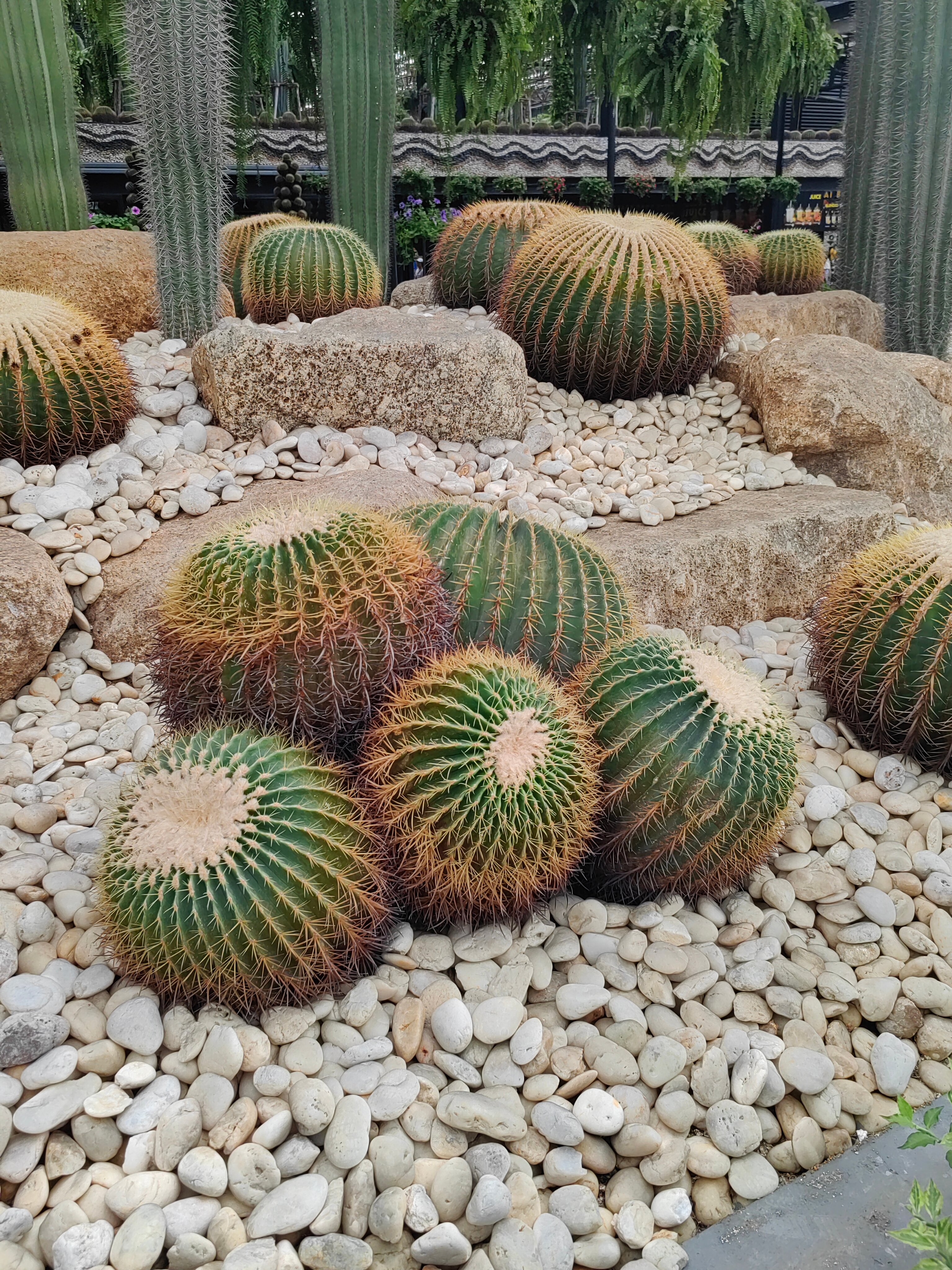 Фото Vogue Pattaya Hotel