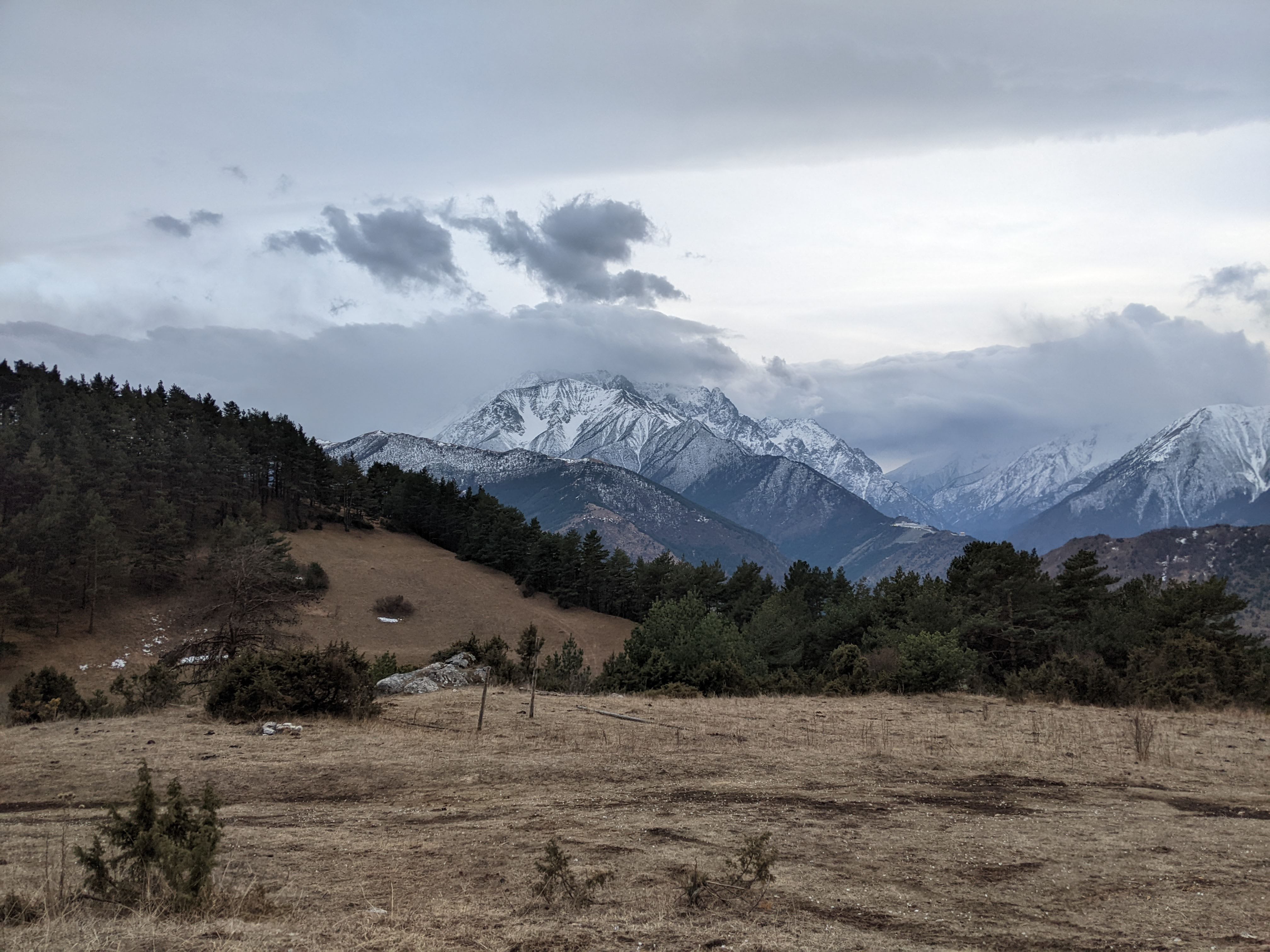 Фото Chilli bro's camp