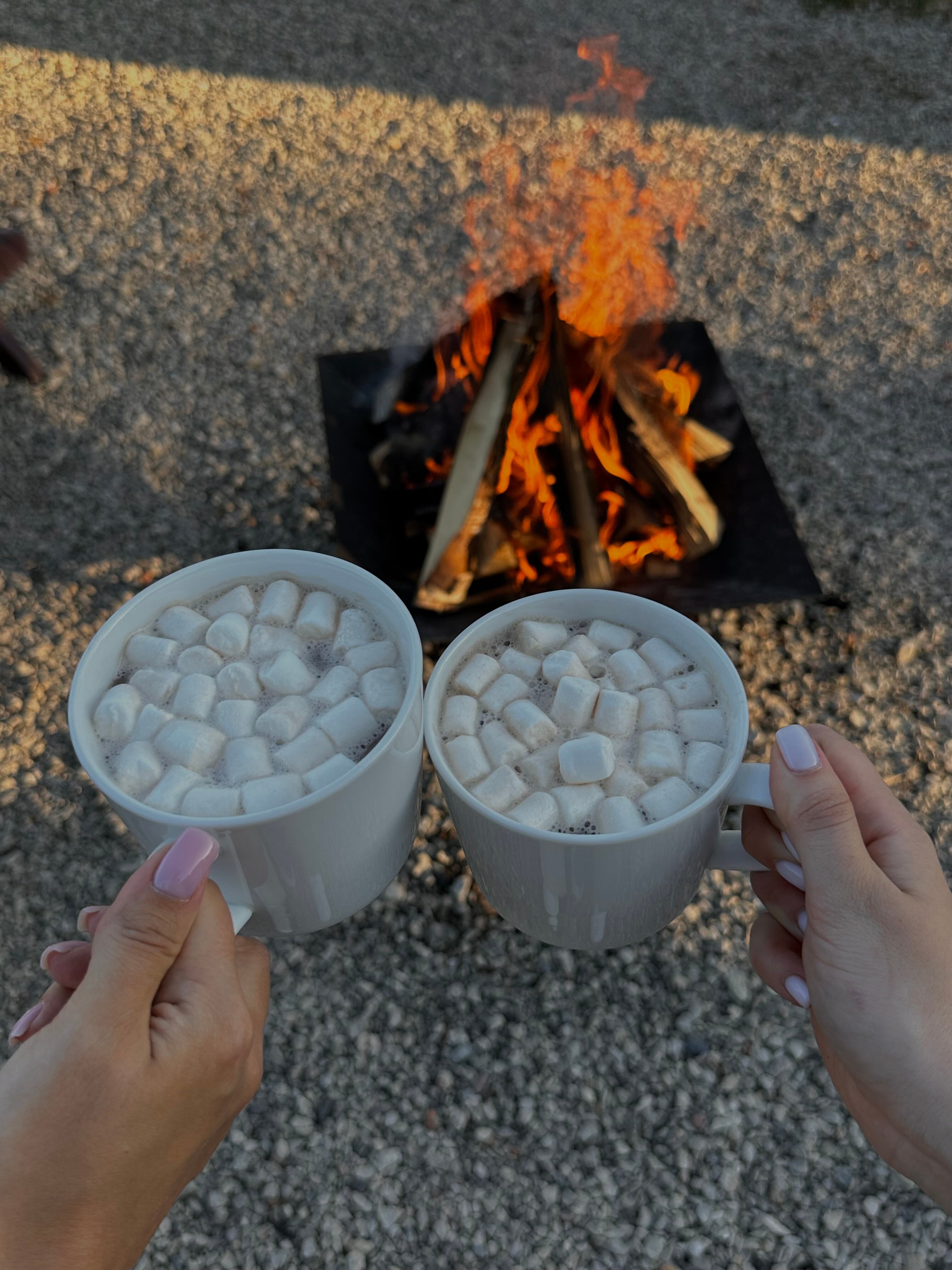 Фото Сканди Лайф