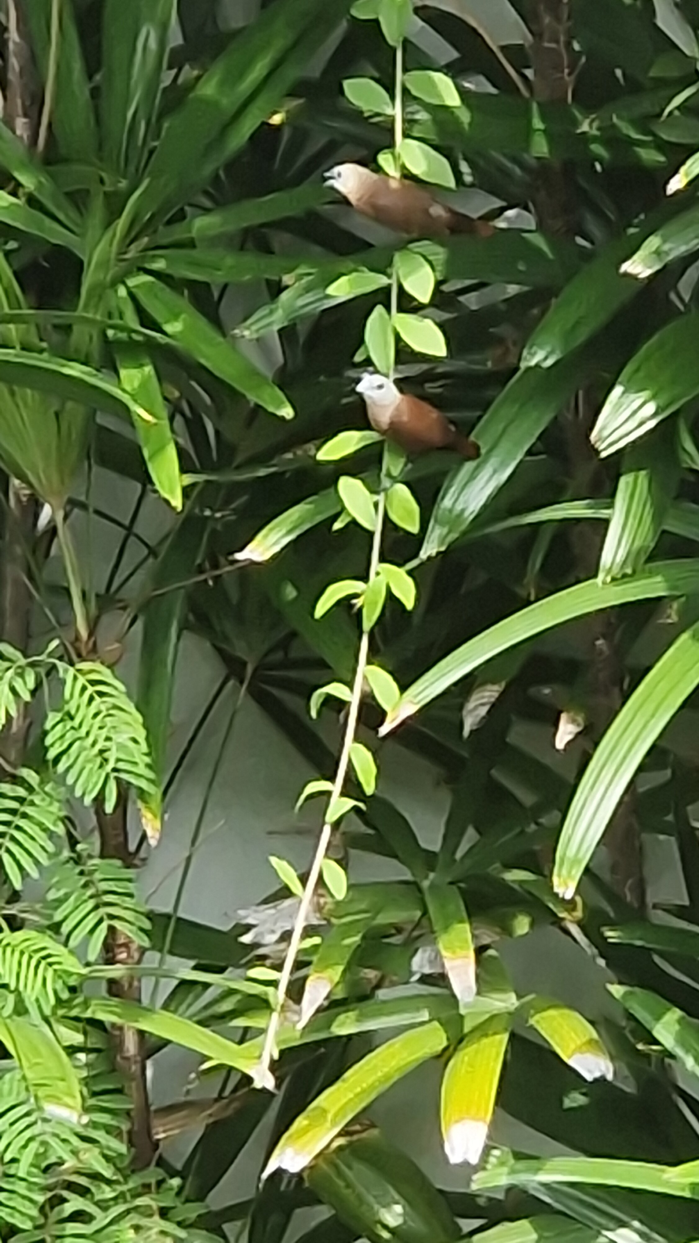 Фото Ellora Villas