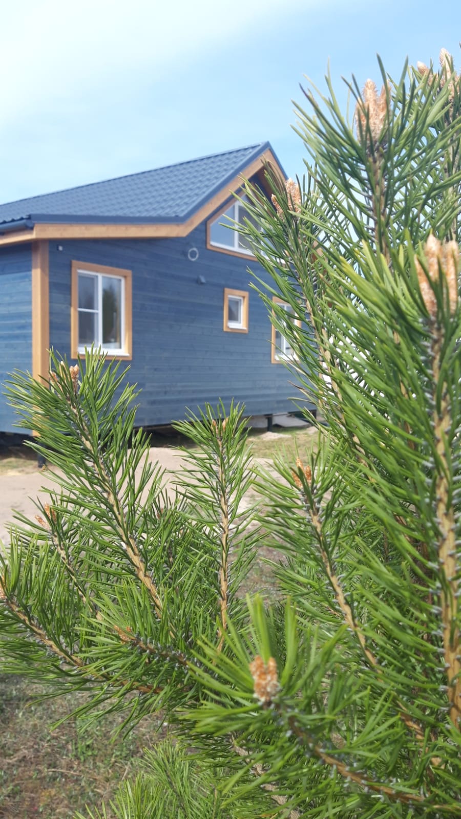 Фото Синий дом у пляжа