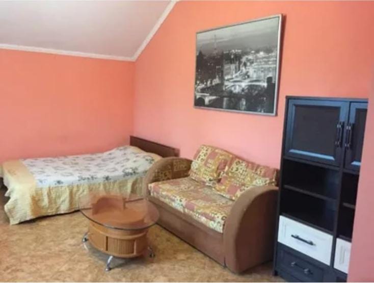 Фото Дельфин