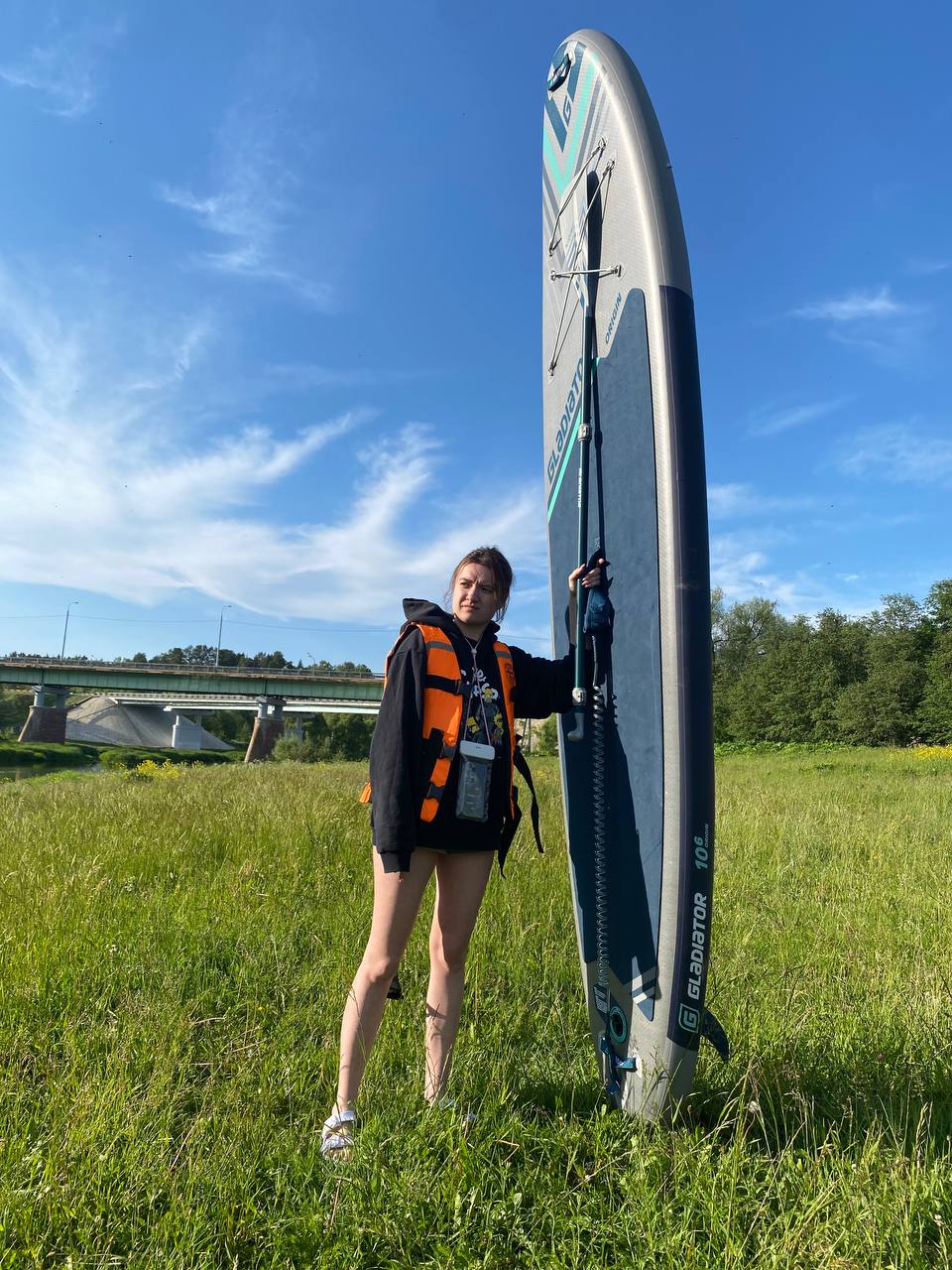 Фото Веселые гуси