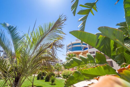 Гостиница Seagull Beach Resort в Хургаде