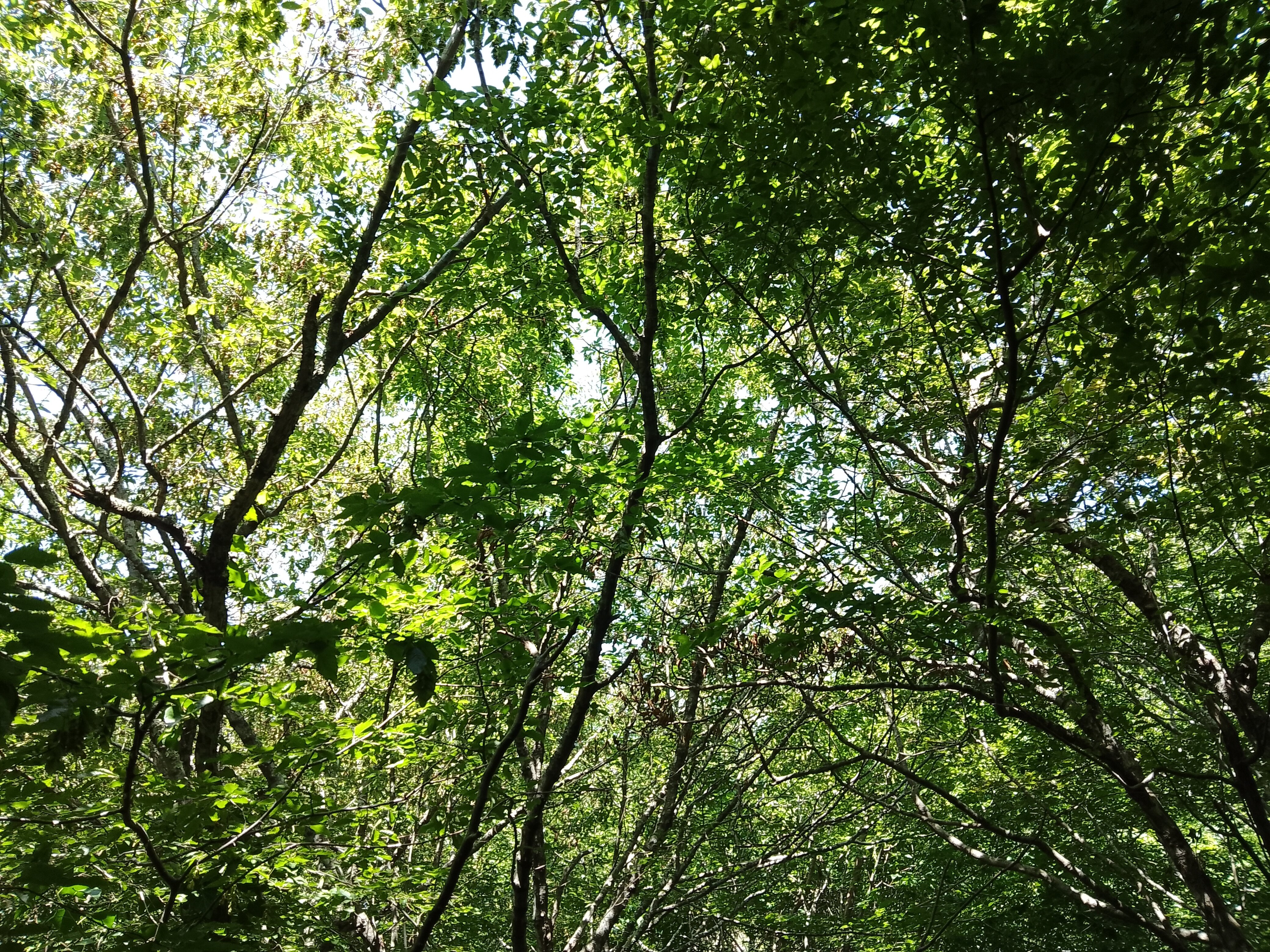 Фото Затерянный рай