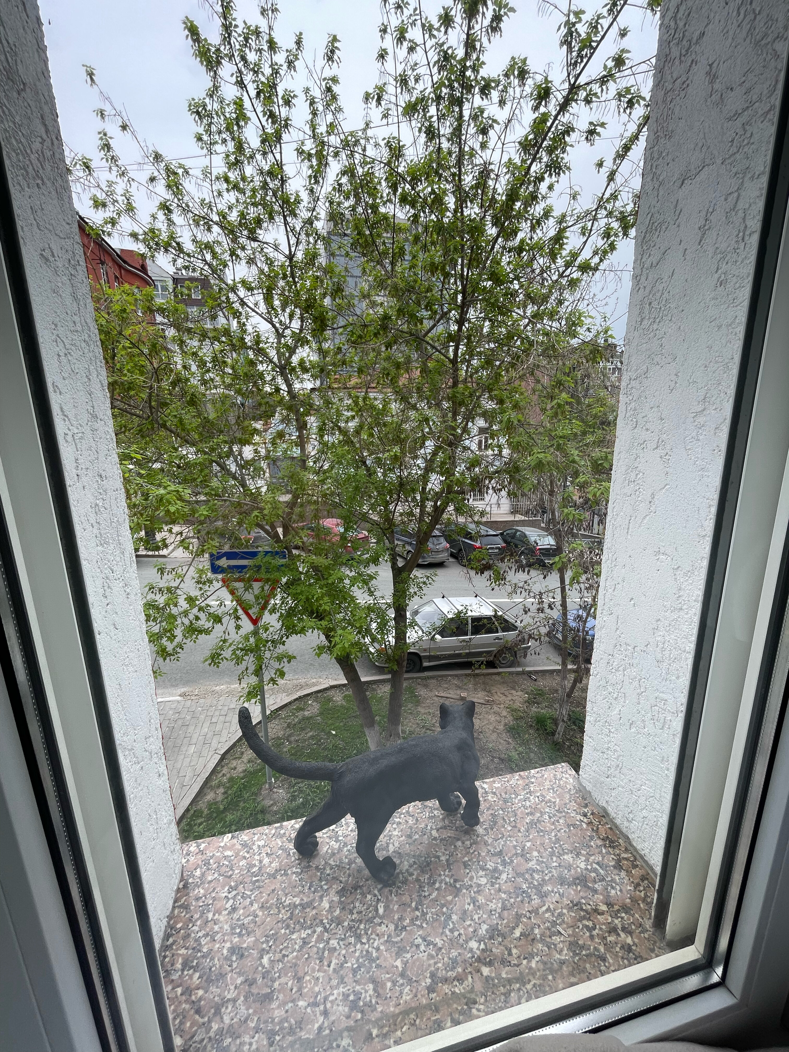 Фото Панская