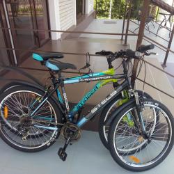 Фото Marton Шолохова