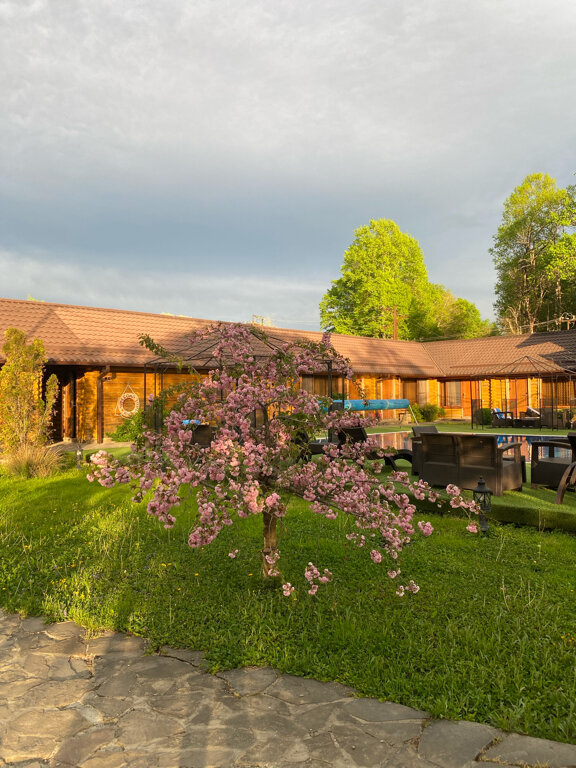 Фото Кура-цеце