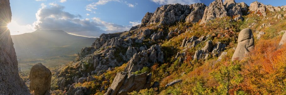 Фото Драйв Парк