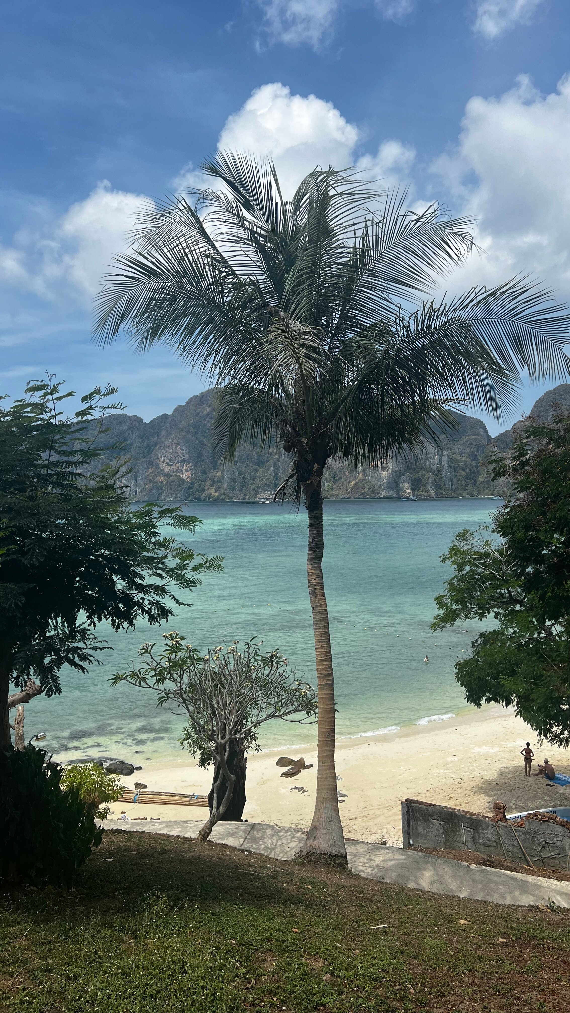 Фото Phi Phi Bayview & Premier Resort