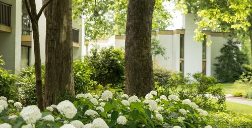 Отель Griffin, an official Colonial Williamsburg Hotel