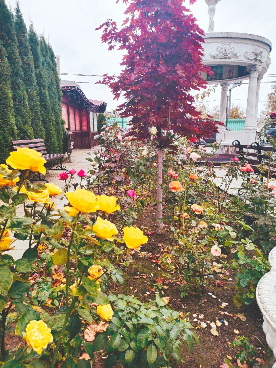 Фото Мэриан Холл