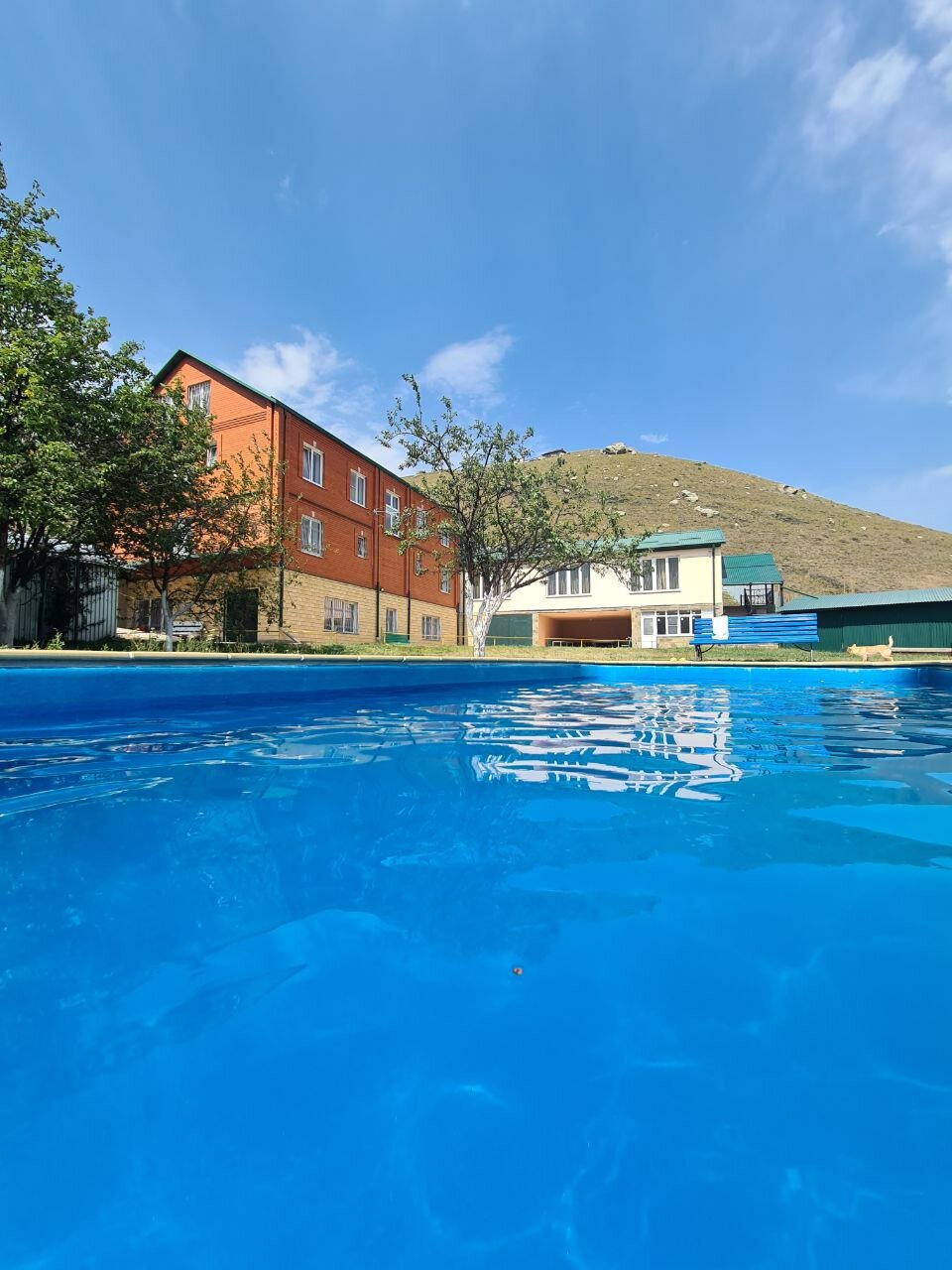 Фото Горный родник